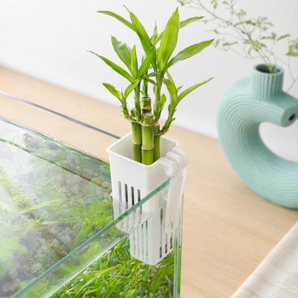 Aquarium Planted Wall - وعاء نباتات مائية معلق على الحائط،