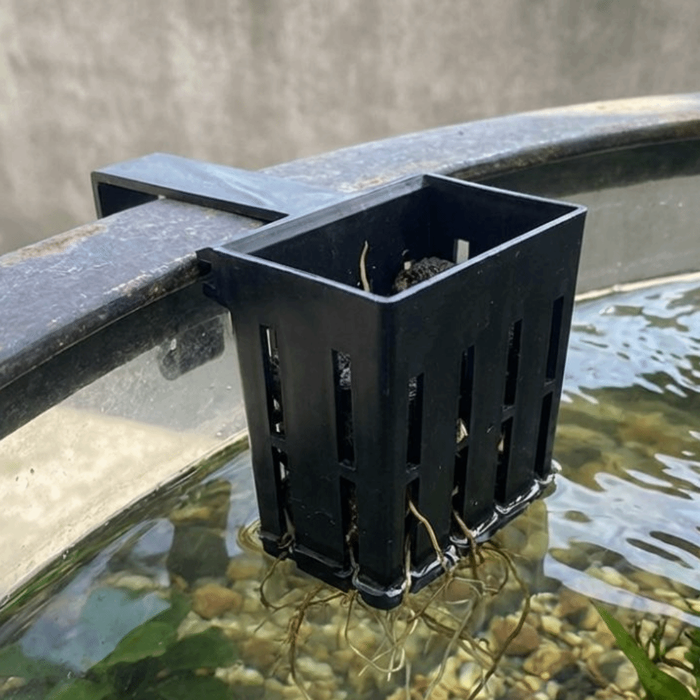 Aquarium Planted Wall - سلة نباتات مائية مثبتة على الحائط،