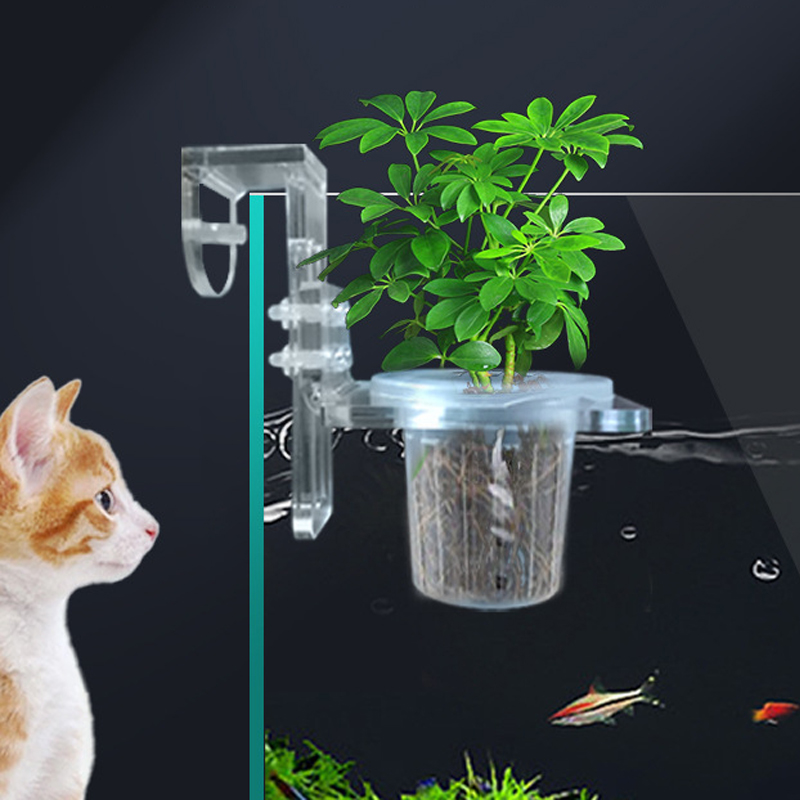 Aquarium Planted Wall - خزان الأسماك زراعة الكؤوس المائية دعم