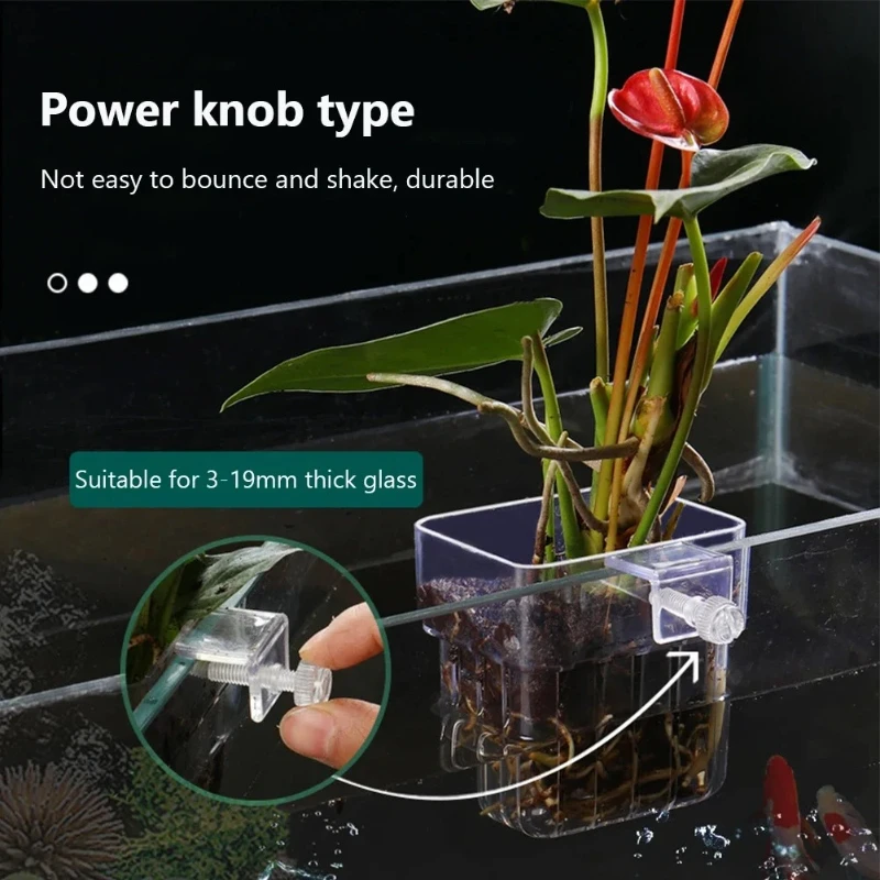 Aquarium Planted Wall - أكواب زراعة معلقة للأحواض المائية، حامل