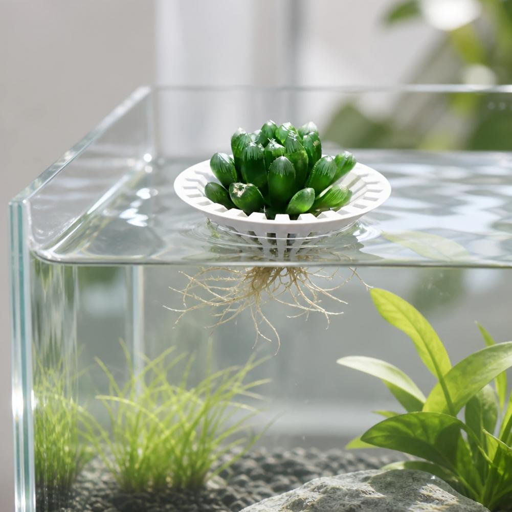 Aquarium Plant Holder - حامل نباتات عائم مطبوع بتقنية ثلاثية