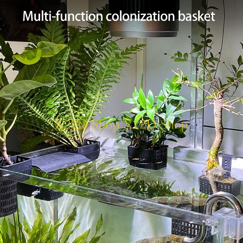 Aquarium Plant Holder - X22D الأنماط القديمة الحديثة حامل النبات