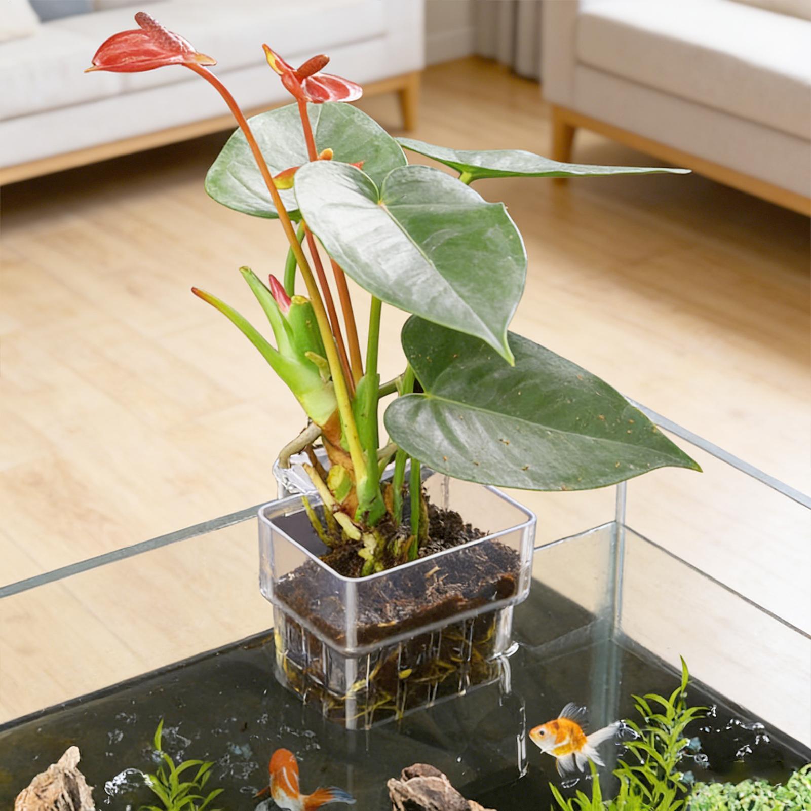 Aquarium Plant Holder - سلة نباتات للأحواض المائية، وعاء زينة