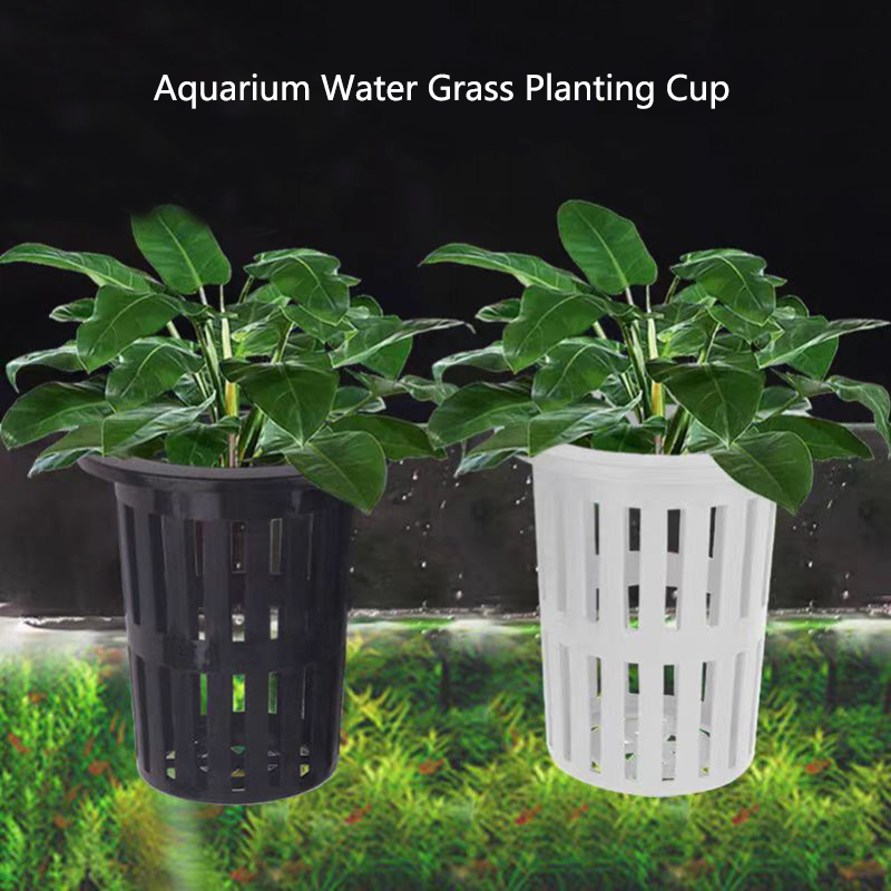 Aquarium Planted Wall - 1/3 قطعة سلة نباتات حوض السمك