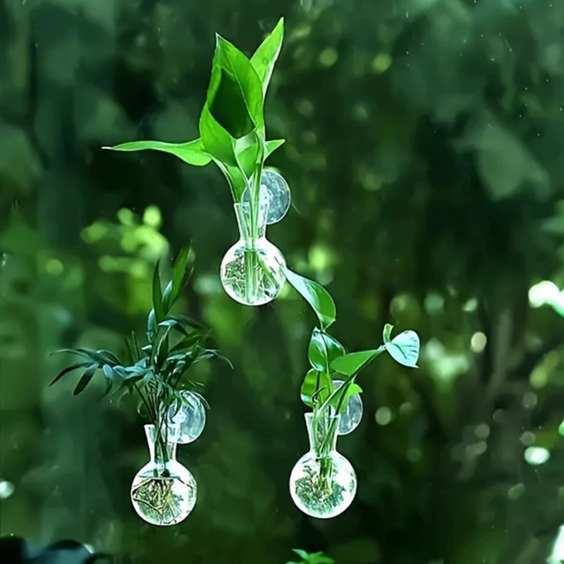 Aquarium Planted Wall - الإبداعية شبه دائرية فئة الحائط زهرية