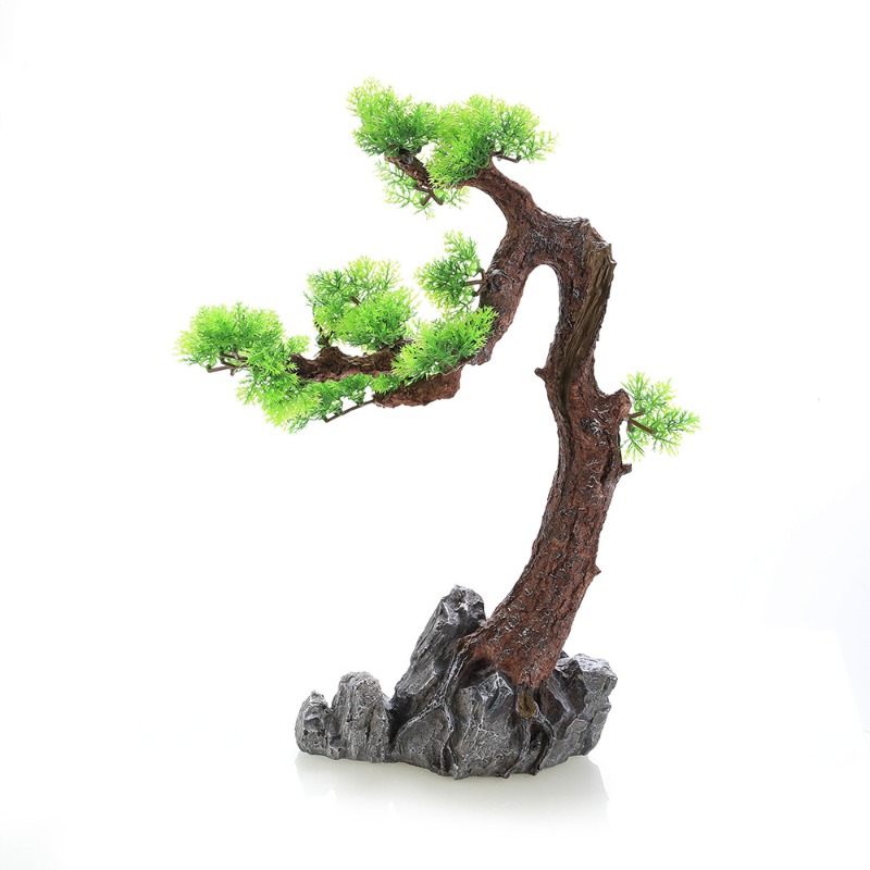شجرة صنوبر من الراتنج مع عشب م - مراجعة Planted Aquarium Aquascape وسعره