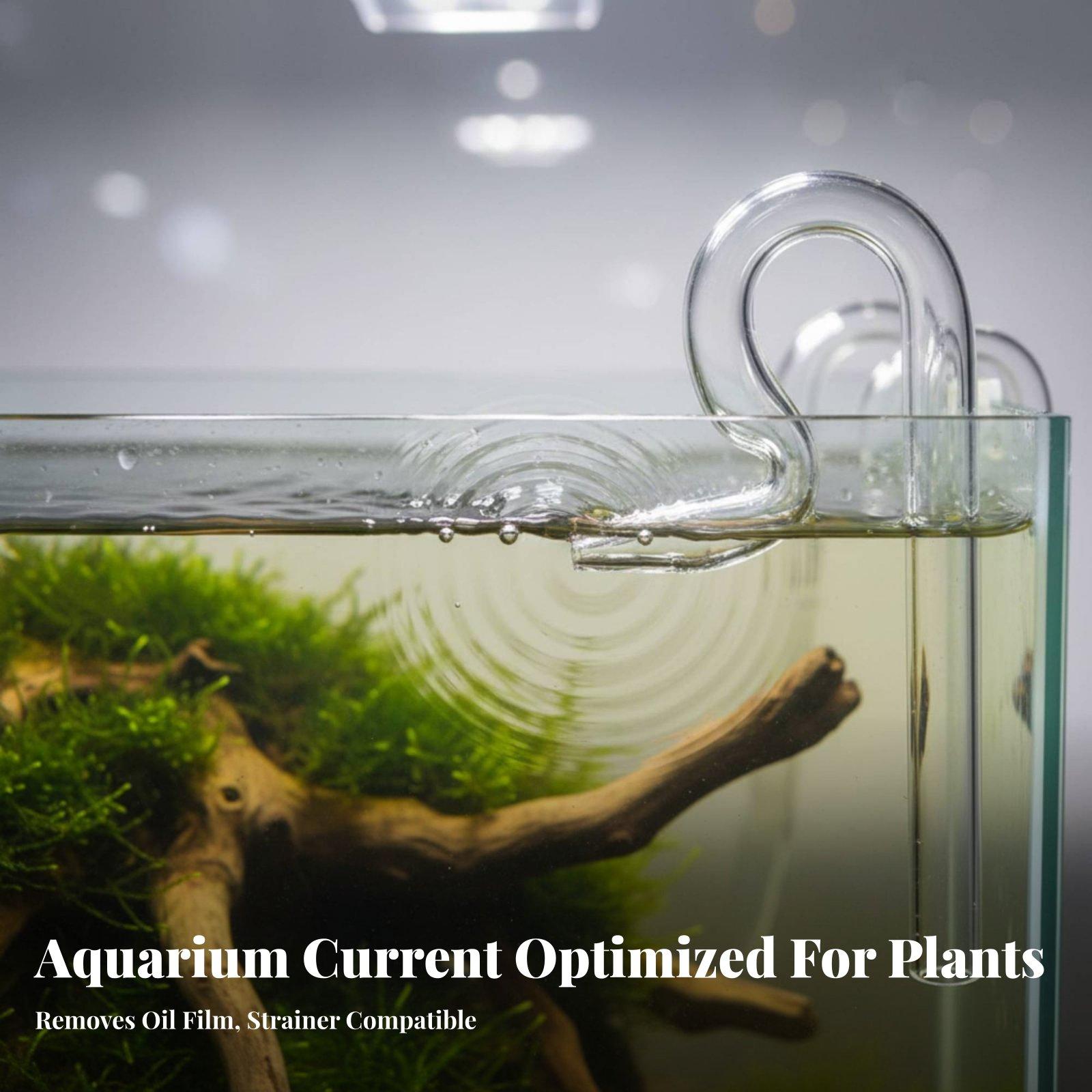 أنبوب زجاجي على شكل زهرة الزنب - مراجعة Aquarium Planted Tank Filter وسعره