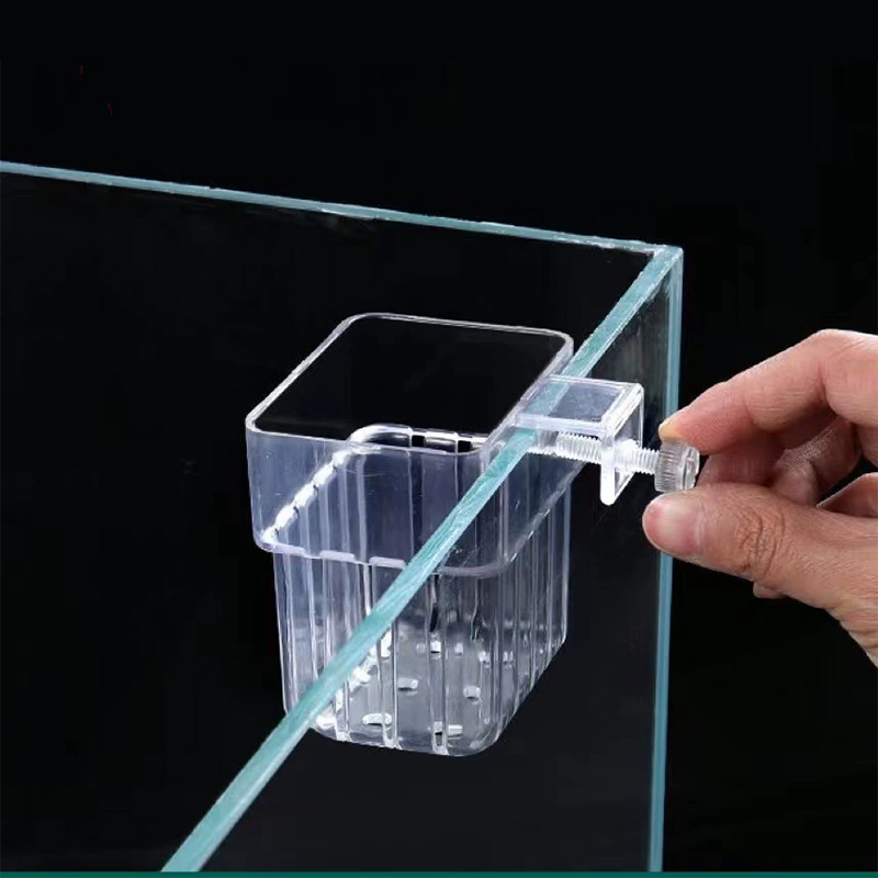 وعاء زراعة مائي شفاف يثبت على  - مراجعة Aquarium Planted Wall وسعره
