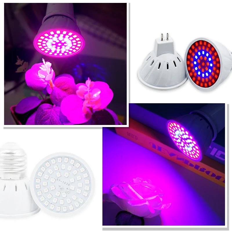 فيتو مصباح الطيف الكامل LED تن - مراجعة Led Planted Tank Light وسعره