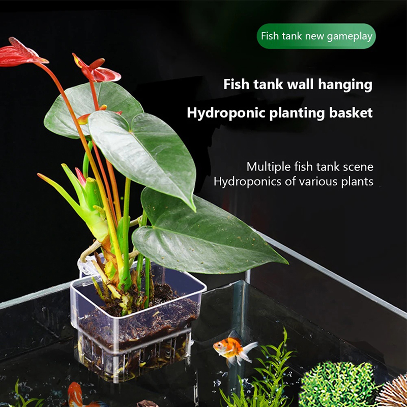 جديد: حامل نباتات مائي معلق عل - مراجعة Aquarium Planted Wall وسعره