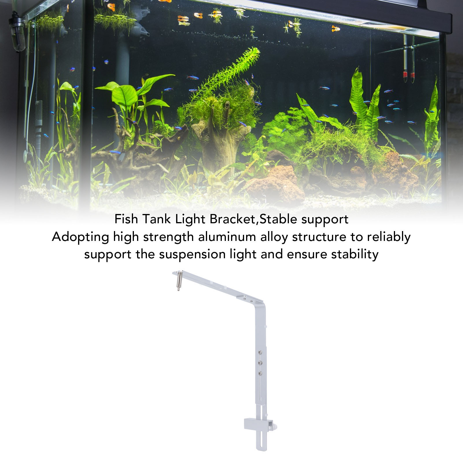 حامل مصباح حوض السمك، حامل إضا - مراجعة Aquarium Plant Holder وسعره