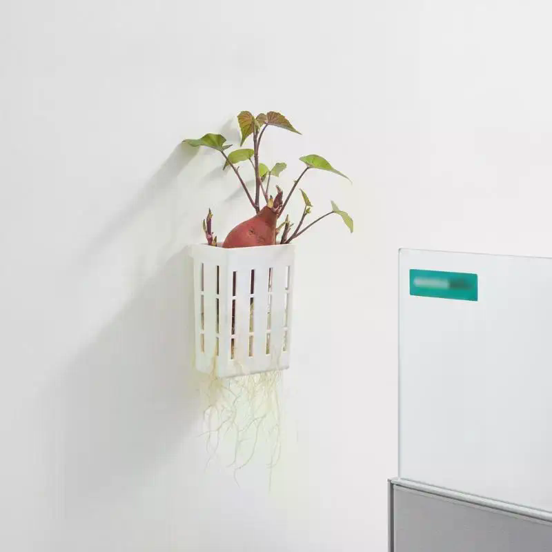 1 قطعة سلة دعم للزراعة المائية - مراجعة Aquarium Plant Holder وسعره