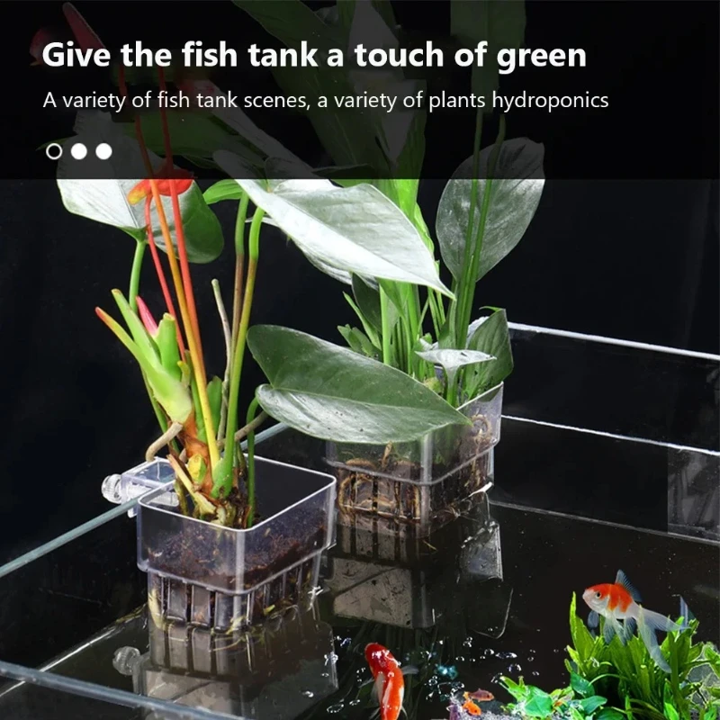 أكواب زراعة معلقة للأحواض الما - مراجعة Aquarium Planted Wall وسعره