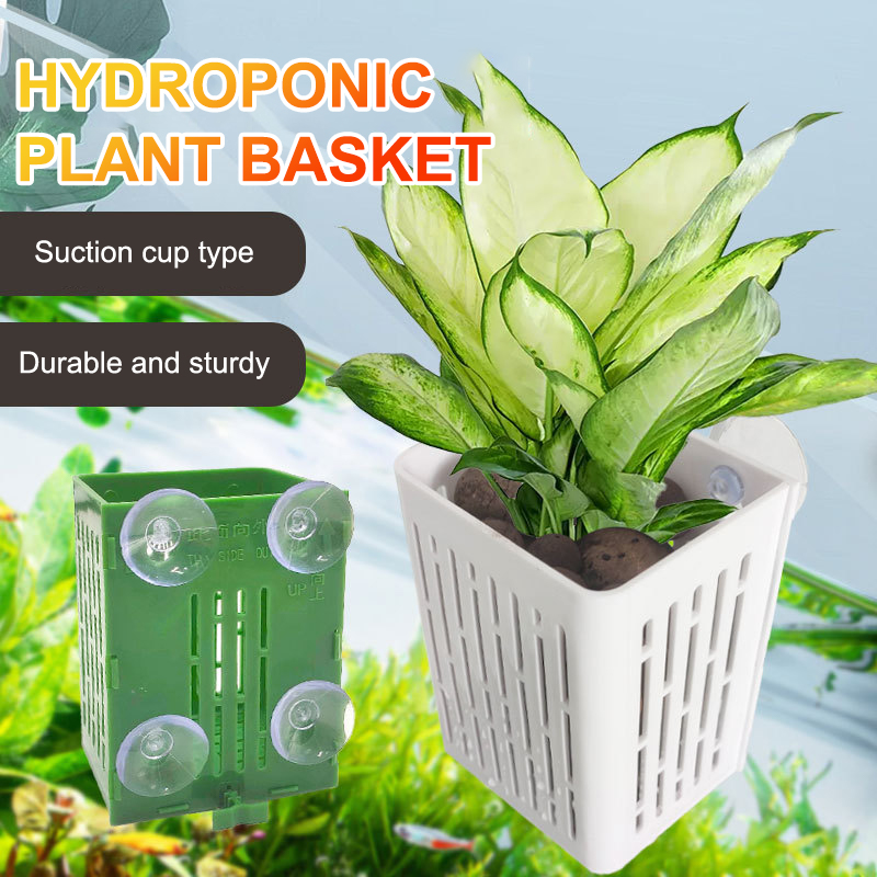 معلقة شفط كأس هوك حامل نبات حو - مراجعة Aquarium Plant Holder وسعره