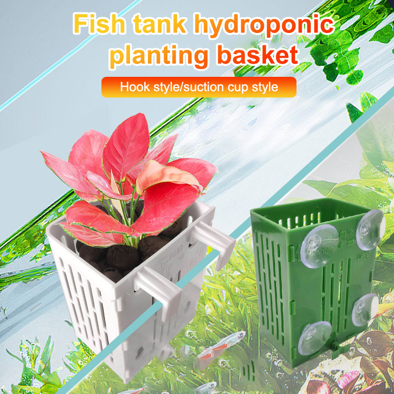 معلقة شفط كأس هوك حامل نبات حو - مراجعة Aquarium Plant Holder وسعره
