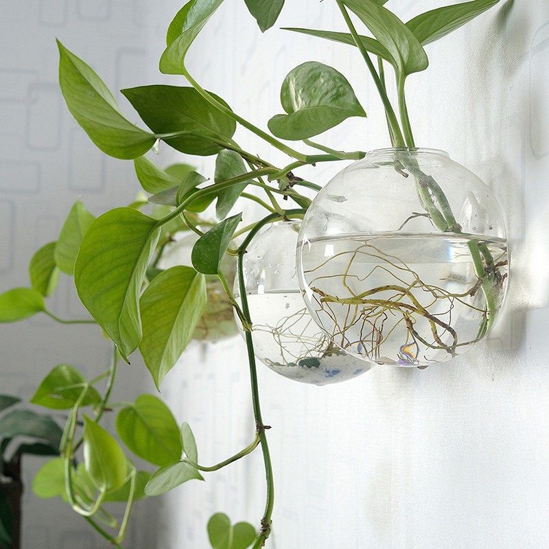 الجدار شنقا وعاء السمك الاكريل - مراجعة Aquarium Planted Wall وسعره