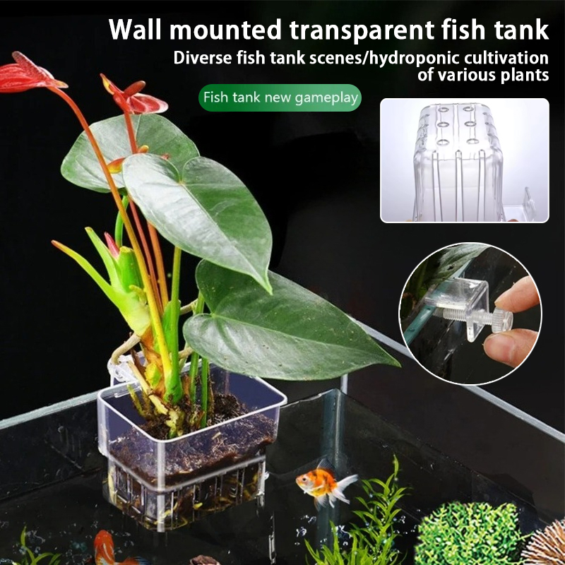 أكواب زرع معلقة للأحواض المائي - مراجعة Aquarium Plant Holder وسعره
