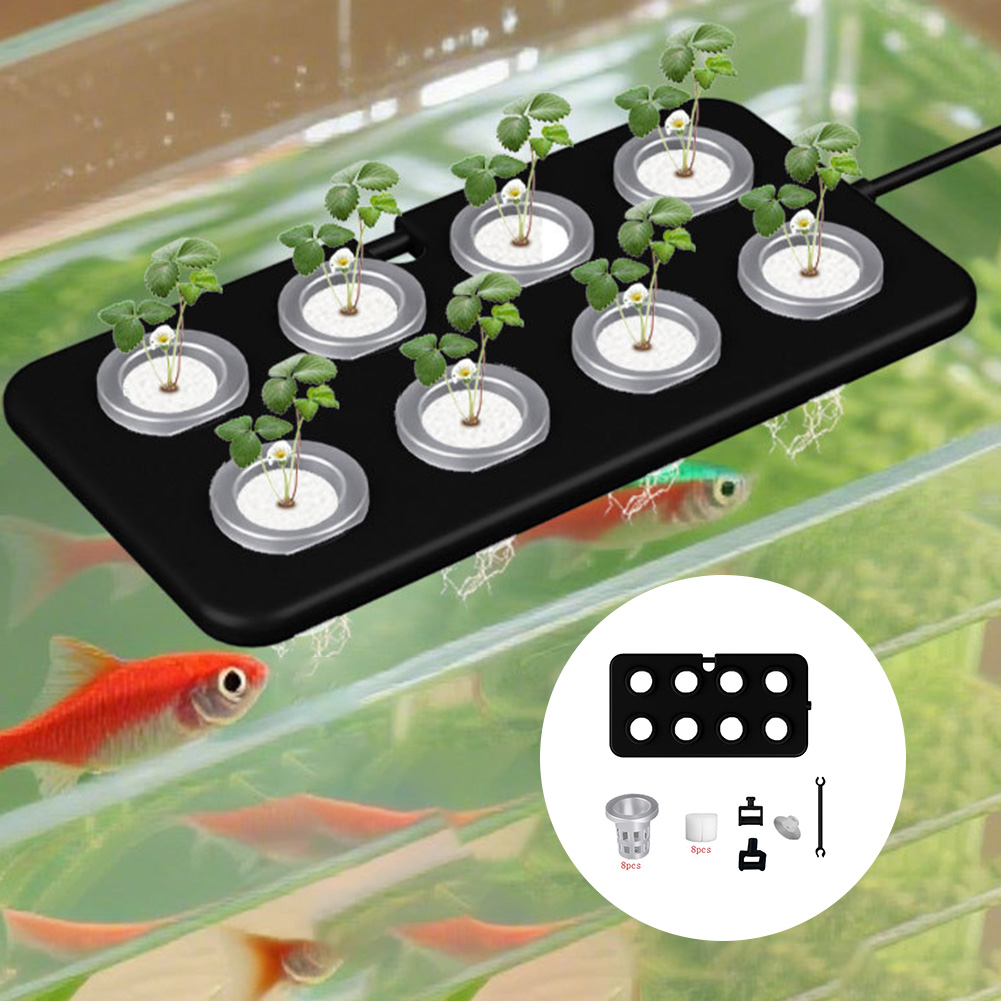 المائية العائمة زراعة مجلس سلة - مراجعة Aquarium Planted Wall وسعره