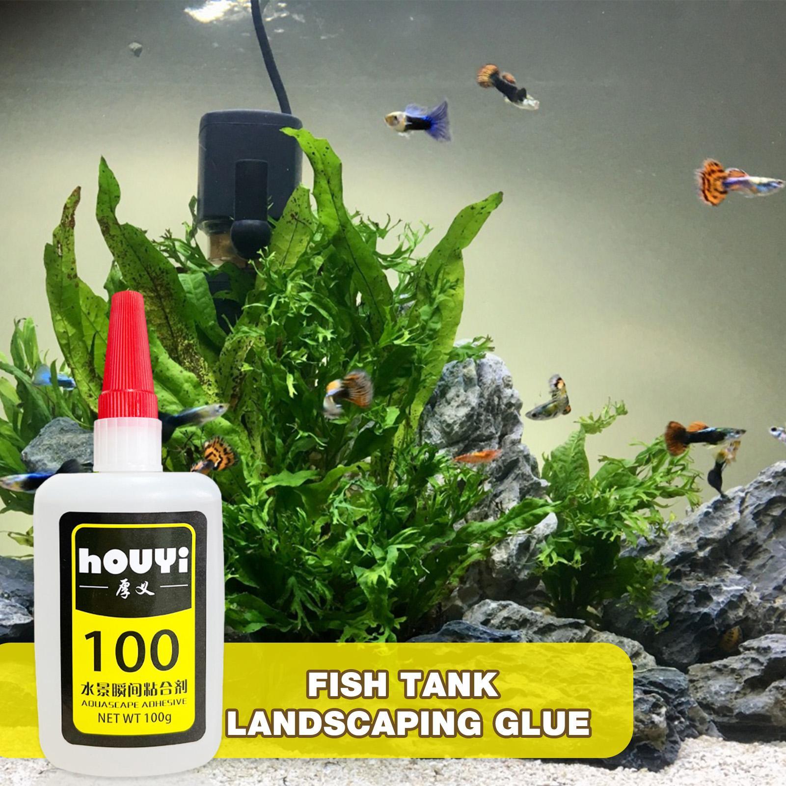 50/100 جرام واضح فوري الغراء A - مراجعة Planted Aquarium Aquascape وسعره