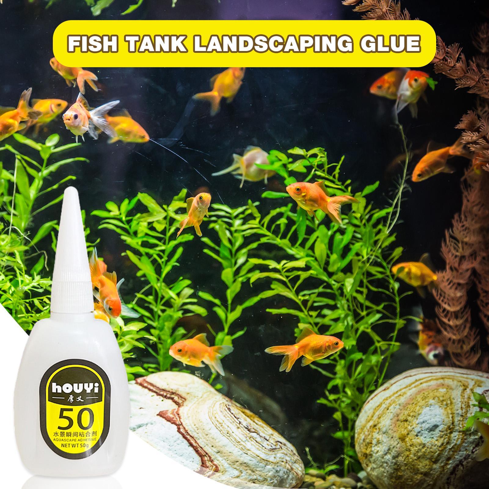 50/100 جرام واضح فوري الغراء A - مراجعة Planted Aquarium Aquascape وسعره