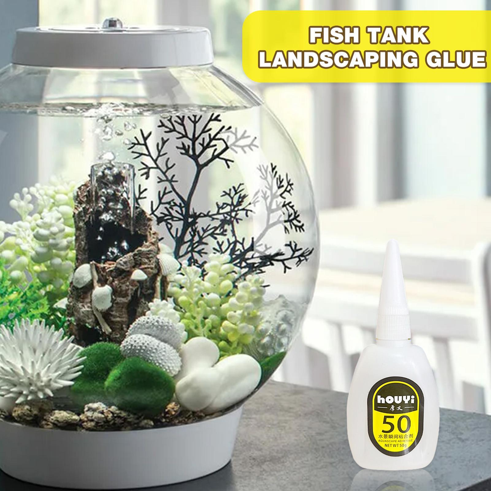 50/100 جرام واضح فوري الغراء A - مراجعة Planted Aquarium Aquascape وسعره