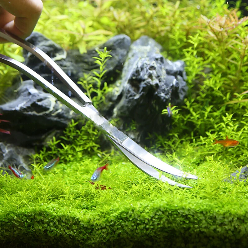 حوض السمك مقص أدوات خزان الأسم - مراجعة Aquarium Plant Holder وسعره
