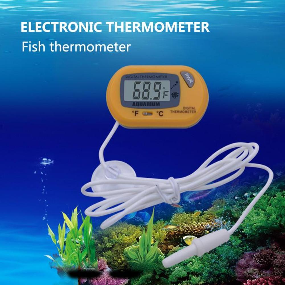 ميزان الحرارة الإلكتروني للماء - مراجعة Planted Aquarium Temperature وسعره