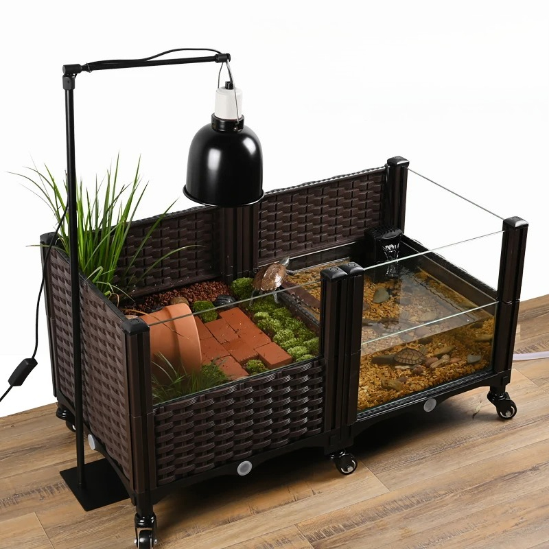 خزان سلحفاة صديق للبيئة مع منص - مراجعة Aquarium Plant Yellowing وسعره