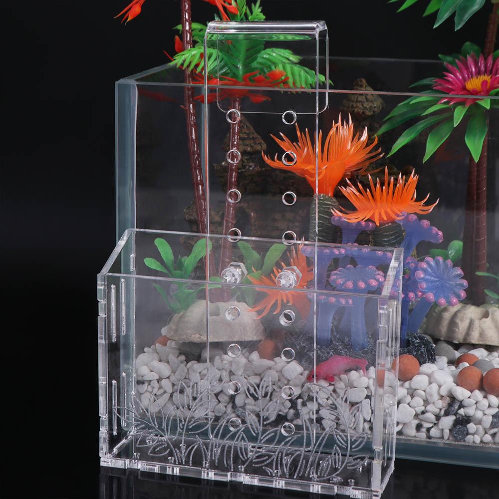 حامل نباتات مائية شفاف من الأك - مراجعة Aquarium Planted Wall وسعره