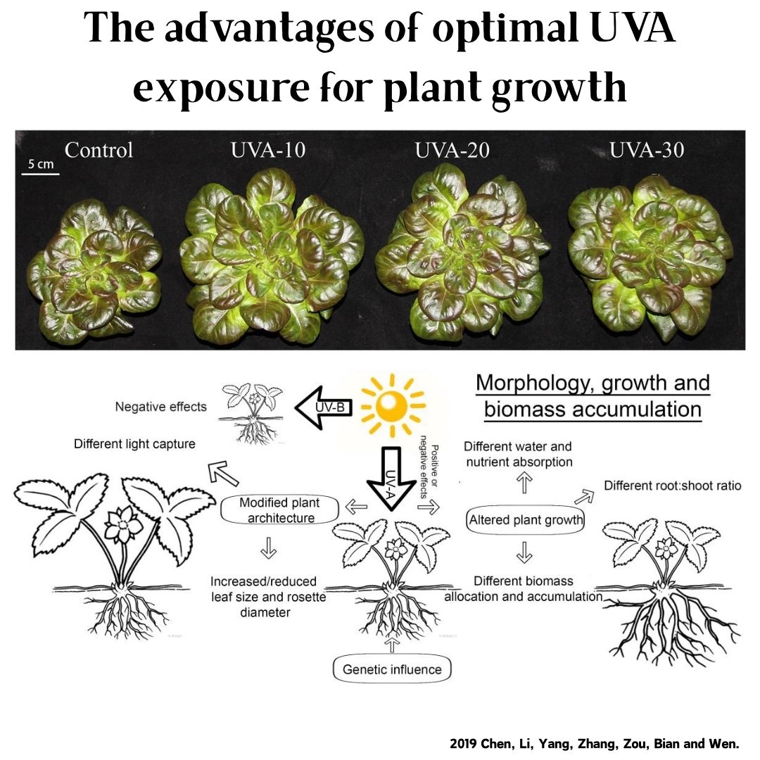 مصباح نمو النباتات المائية الذ - مراجعة Aquarium Plant Growth Light وسعره
