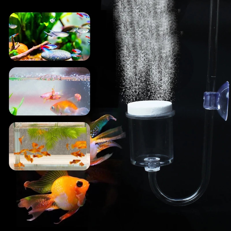 ناشر CO2 لحوض السمك ، خزان زجا - مراجعة Planted Aquarium Aquascape وسعره