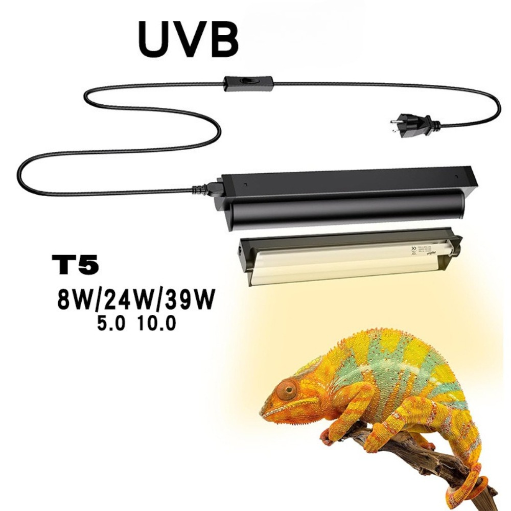 المزروعة والزواحف تررم LED الإ - مراجعة Led Planted Tank Light وسعره