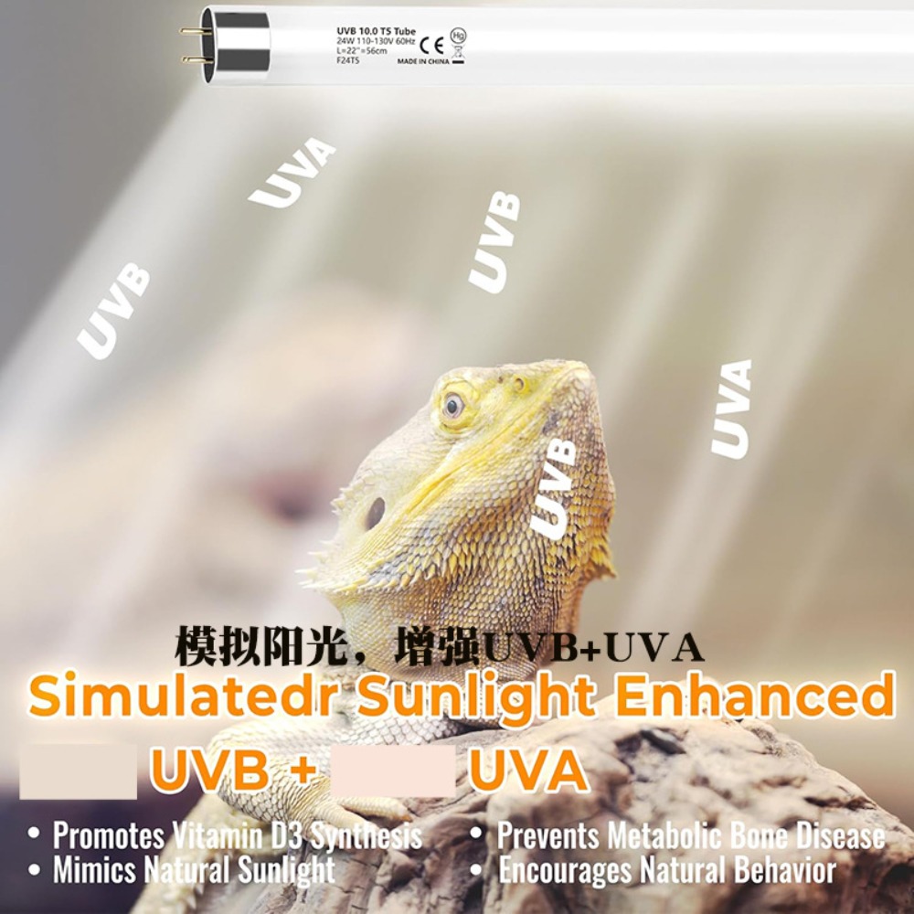المزروعة والزواحف تررم LED الإ - مراجعة Led Planted Tank Light وسعره