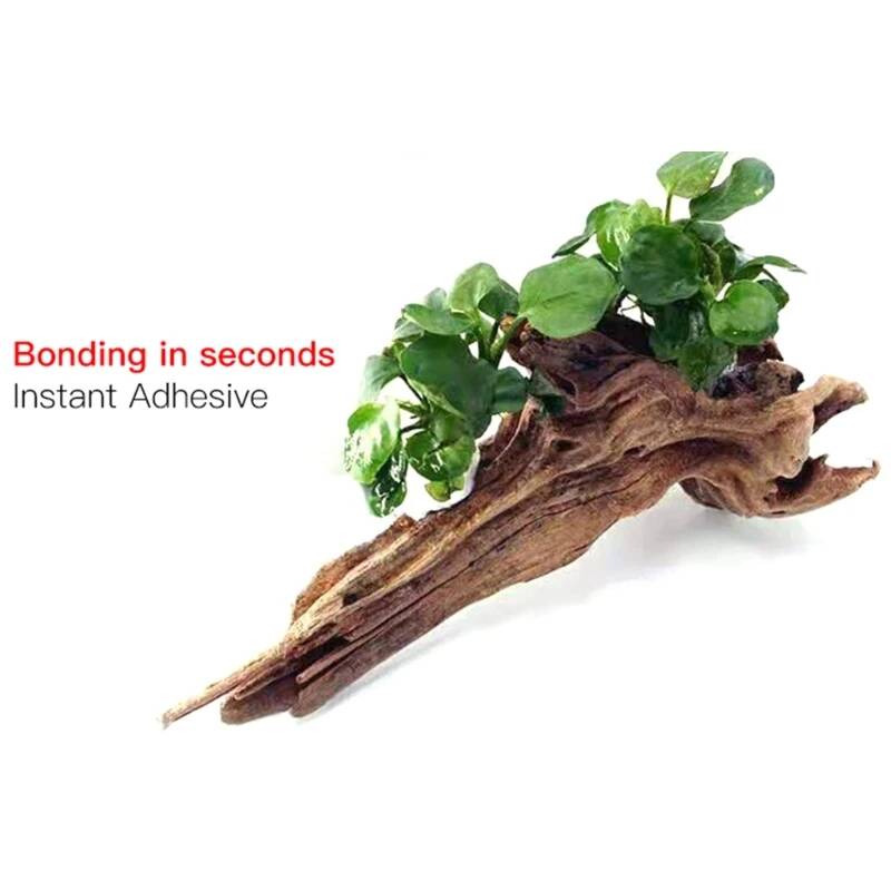 غراء الطحالب سريع الجفاف وغير  - مراجعة Planted Aquarium Aquascape وسعره